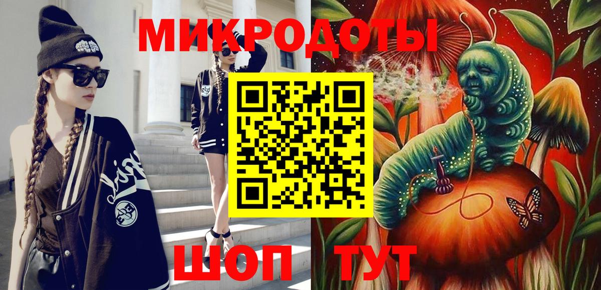Гусев  Галлюциногенные грибы Psilocybe  Вход с VPN  Галлюциногенные грибы мухоморы 
